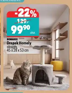Biedronka Drapak Homely okrągły Domarex oferta