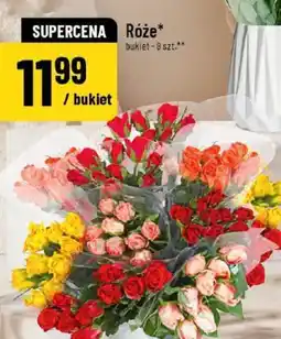 Polomarket Róże oferta