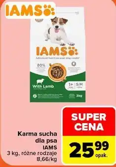 Carrefour Karma sucha dla psa Iams oferta