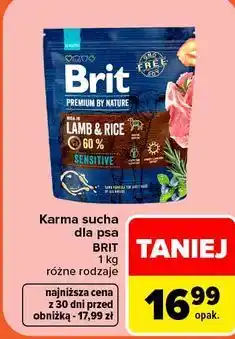 Carrefour Karma sucha dla psa Brit oferta