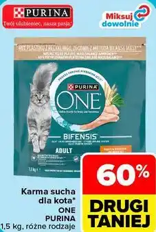 Carrefour Karma sucha dla kota Purina ONE oferta