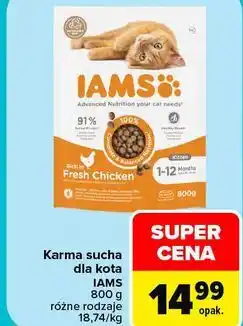 Carrefour Karma sucha dla kota IAMS oferta