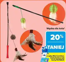 Carrefour Wędka dla kota oferta