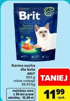 Carrefour Karma sucha dla kota Brit oferta