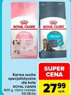 Carrefour Karma sucha specjalistyczna dla kota Royal Canin oferta
