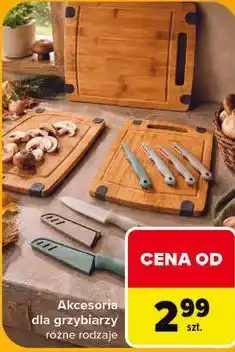 Carrefour Akcesoria dla grzybiarzy oferta