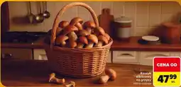 Carrefour Koszyk wiklinowy na grzyby oferta