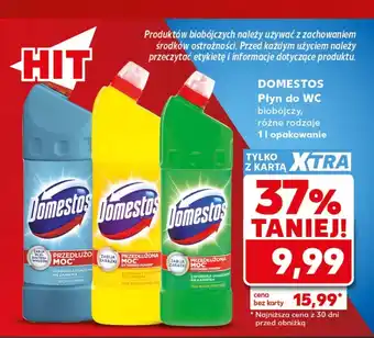 Kaufland Płyn do czyszczenia wc Domestos oferta