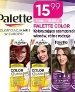 Koliber drogerie Palette color koloryzujący szampondo włosów oferta