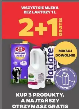 Netto Wszystkie mleka bez laktozy oferta