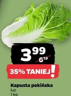 Netto Kapusta pekińska oferta