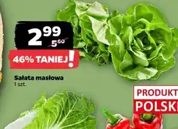 Netto Sałata masłowa oferta