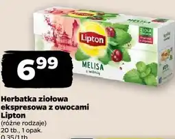 Netto Herbatka ziołowa ekspresowa z owocami Lipton oferta