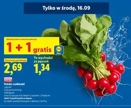 Lidl Rzodkiewki polskie oferta