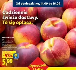Lidl Nektarynki oferta