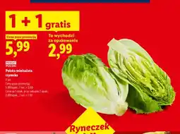 Lidl Minisałata rzymska polska Ryneczek Lidla oferta