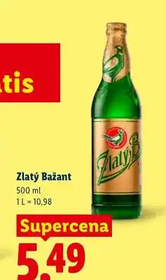 Lidl Piwo Zlatý Bažant oferta