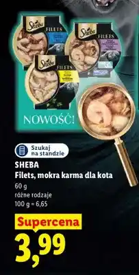 Lidl Filets mokra karma dla kota Sheba oferta