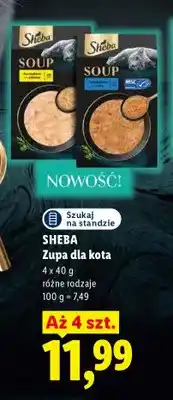 Lidl Zupa dla kota 4-pak Sheba oferta