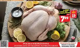 Topaz Kurczak tuszka oferta