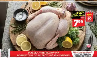 Kurczak tuszka
