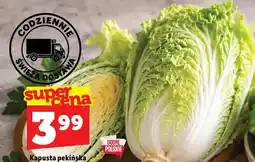 Topaz Kapusta pekińska oferta