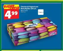Topaz Chusteczki higieniczne Mola Big Box oferta