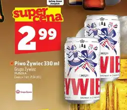 Topaz Piwo Żywiec oferta