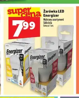Topaz Żarówka LED Energizer oferta