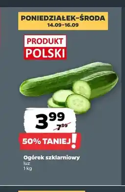 Netto Ogórki szklarniowe oferta