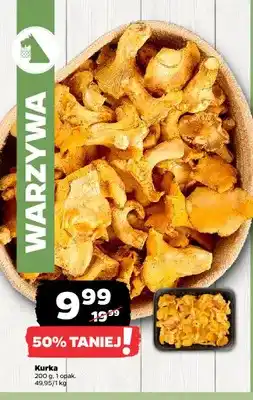 Netto Kurka oferta