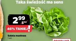Netto Sałata masłowa oferta