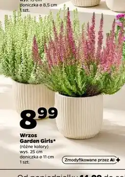 Netto Wrzos Garden Girls oferta