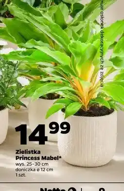 Netto Zielistka Princess Mabel oferta