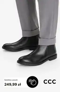 CCC Sztyblety Lasocki oferta