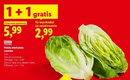 Lidl Polska minisałata rzymska oferta