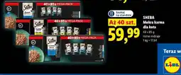 Lidl Sheba Mokra karma dla kota oferta