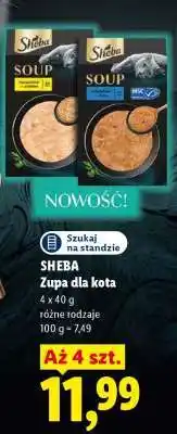Lidl SHEBA Zupa dla kota oferta