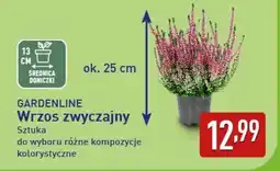 ALDI GARDENLINE oferta