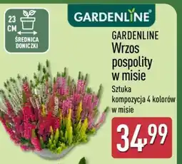 ALDI GARDENLINE Wrzos pospolity w misie oferta