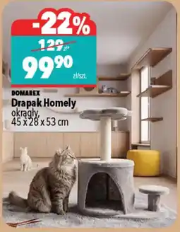 Biedronka Drapak Homely DOMAREX oferta
