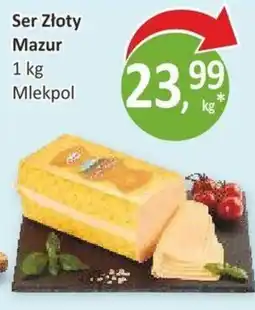 Orzech Ser Złoty Mazur oferta