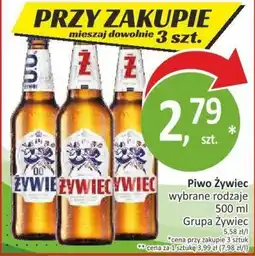 Orzech Piwo Żywiec oferta