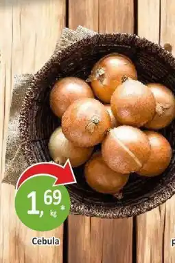 Orzech Cebula oferta