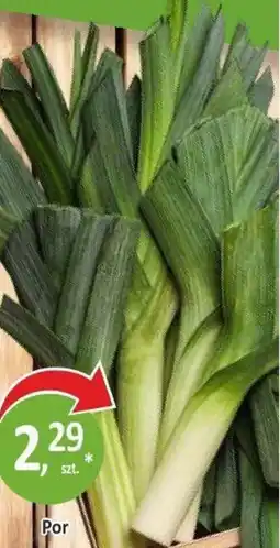 Orzech Por oferta
