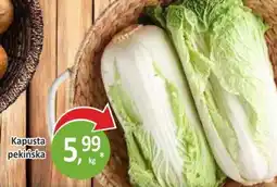 Orzech Kapusta pekińska oferta