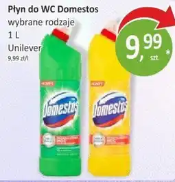 Orzech Płyn do WC Domestos wybrane rodzaje oferta