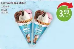 Orzech Lody rożek Top Milker oferta