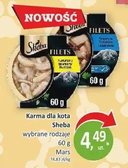 Orzech Karma dla kota Sheba wybrane rodzaje oferta