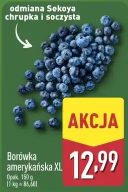 ALDI Borówka amerykańska XL oferta